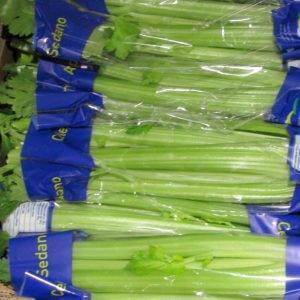 Celery