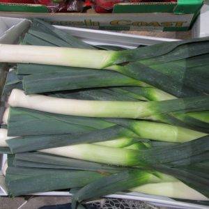 Leek (Large)