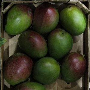 Mango delivery