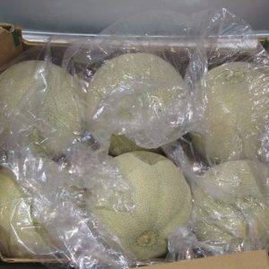 Melon Cantelope Delivery
