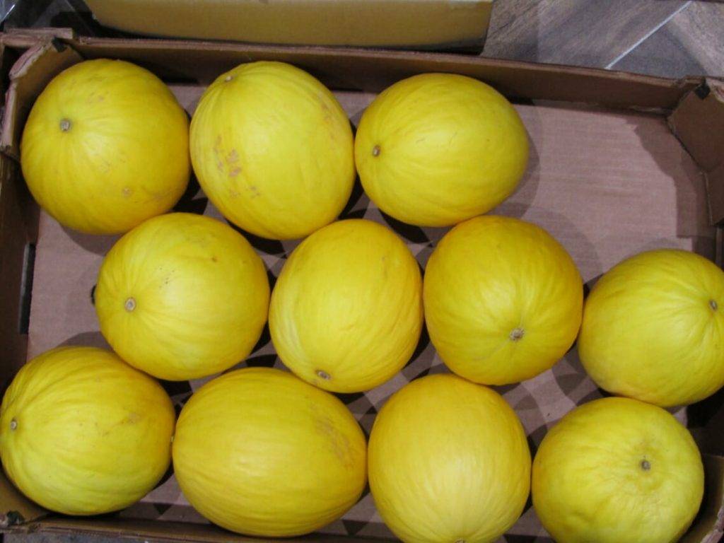 buttercup yellow melon