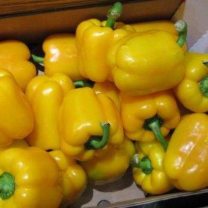 Peppers (Yellow)
