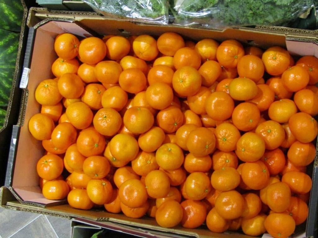 Satsuma Inverclyde Home Fresh