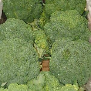 brocoli veg delivery Greenock