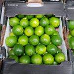 fresh lime fruit delivery Greenock