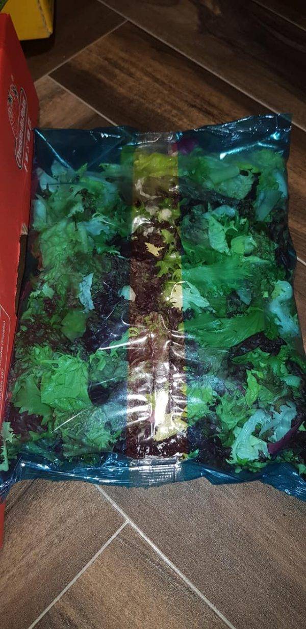 fresh salad delivery Greenock