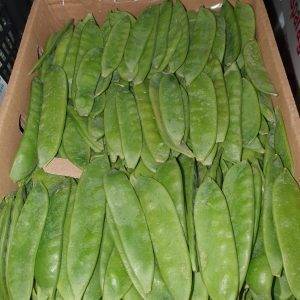 Mangetout