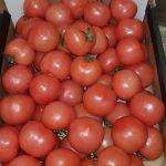 tomato veg delivery Greenock
