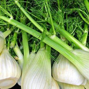 fennel veg delivery Greenock