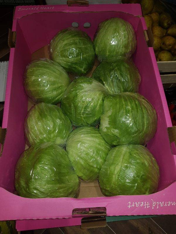 iceberg lettuce veg delivery Greenock