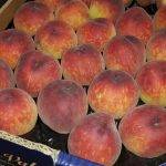 peach fruit delivery Greenock, Inverclyde