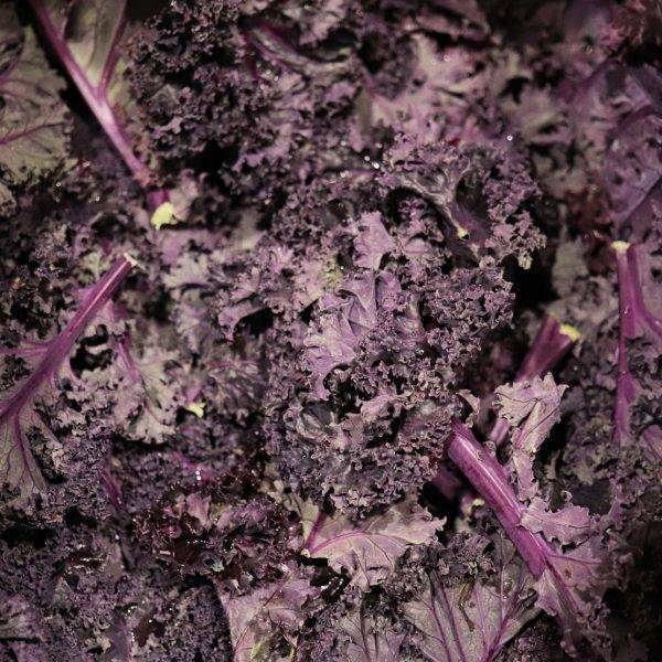 red curly kale veg delivery Greenock