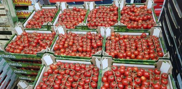 cherry tomato veg delivery Greenock