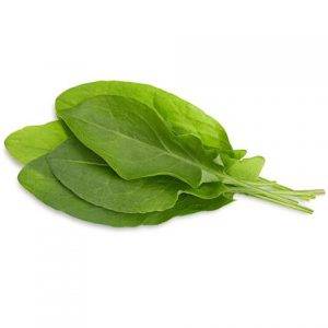 Green_Sorrel_herb_Greenock