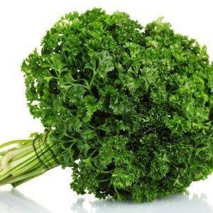curly-parsley-herb-delivery-Greenock
