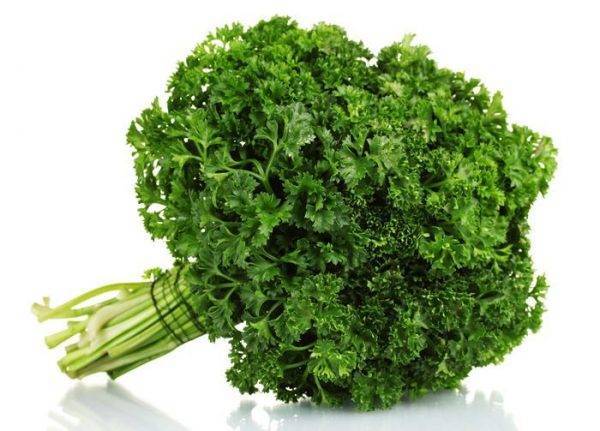 curly-parsley-herb-delivery-Greenock